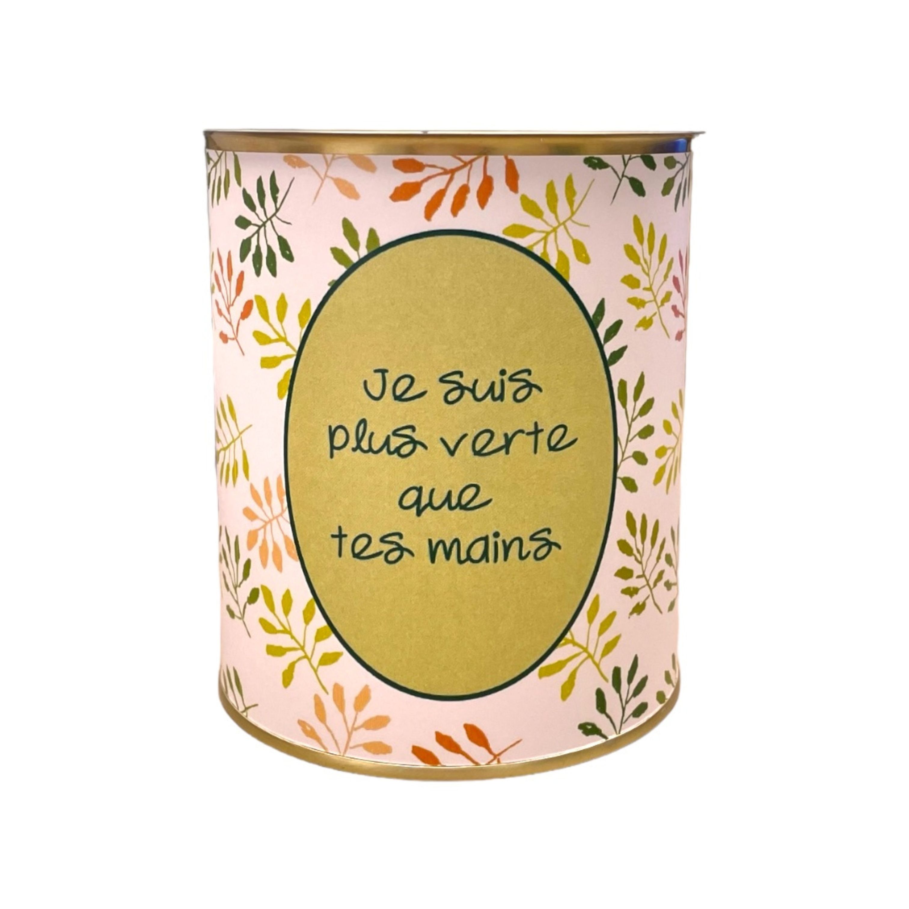 Cache-pots " Je suis plus verte que tes mains "