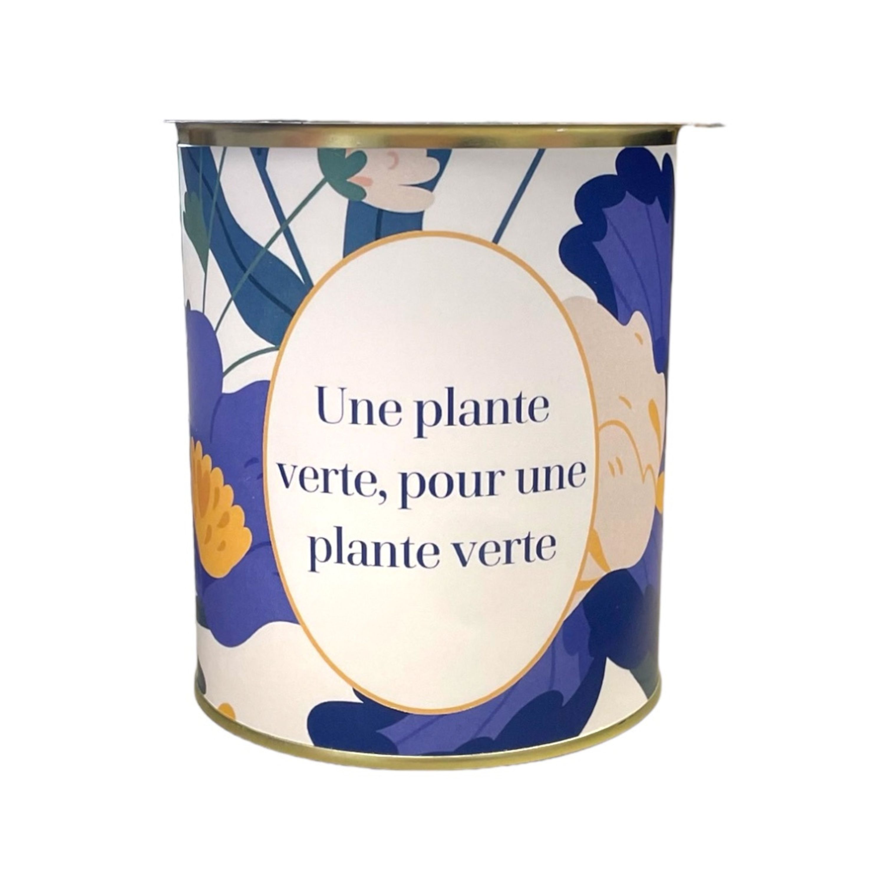 Cache-pots " Une plante verte, pour une plante verte "