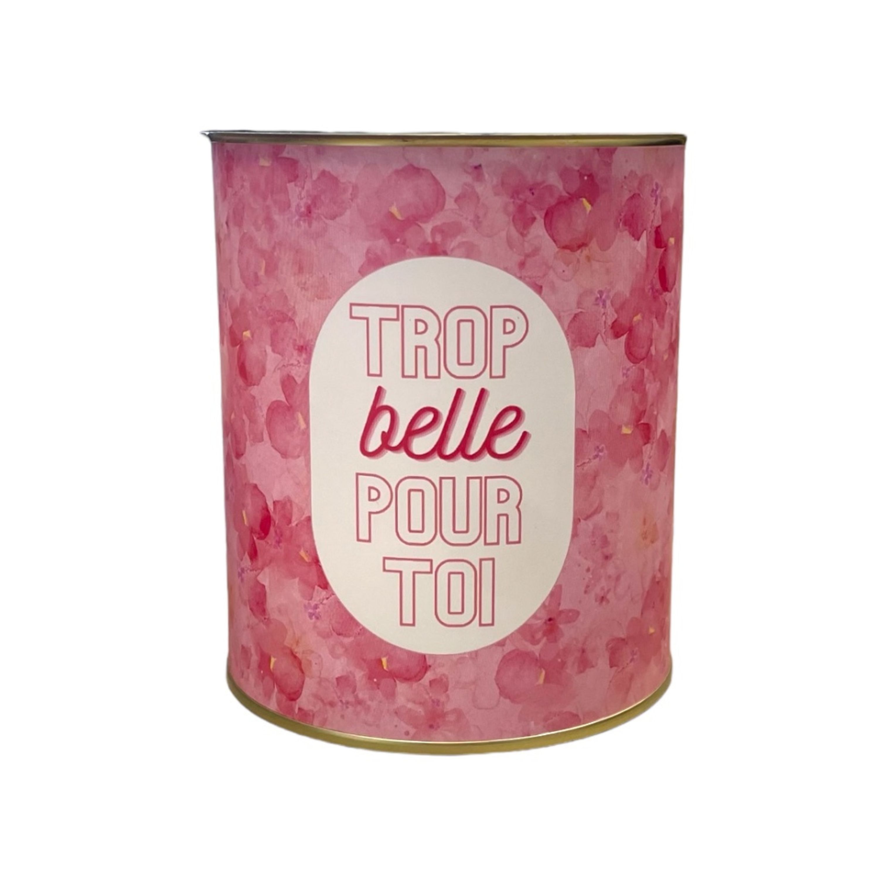 Cache-pots " Trop belle pour toi "