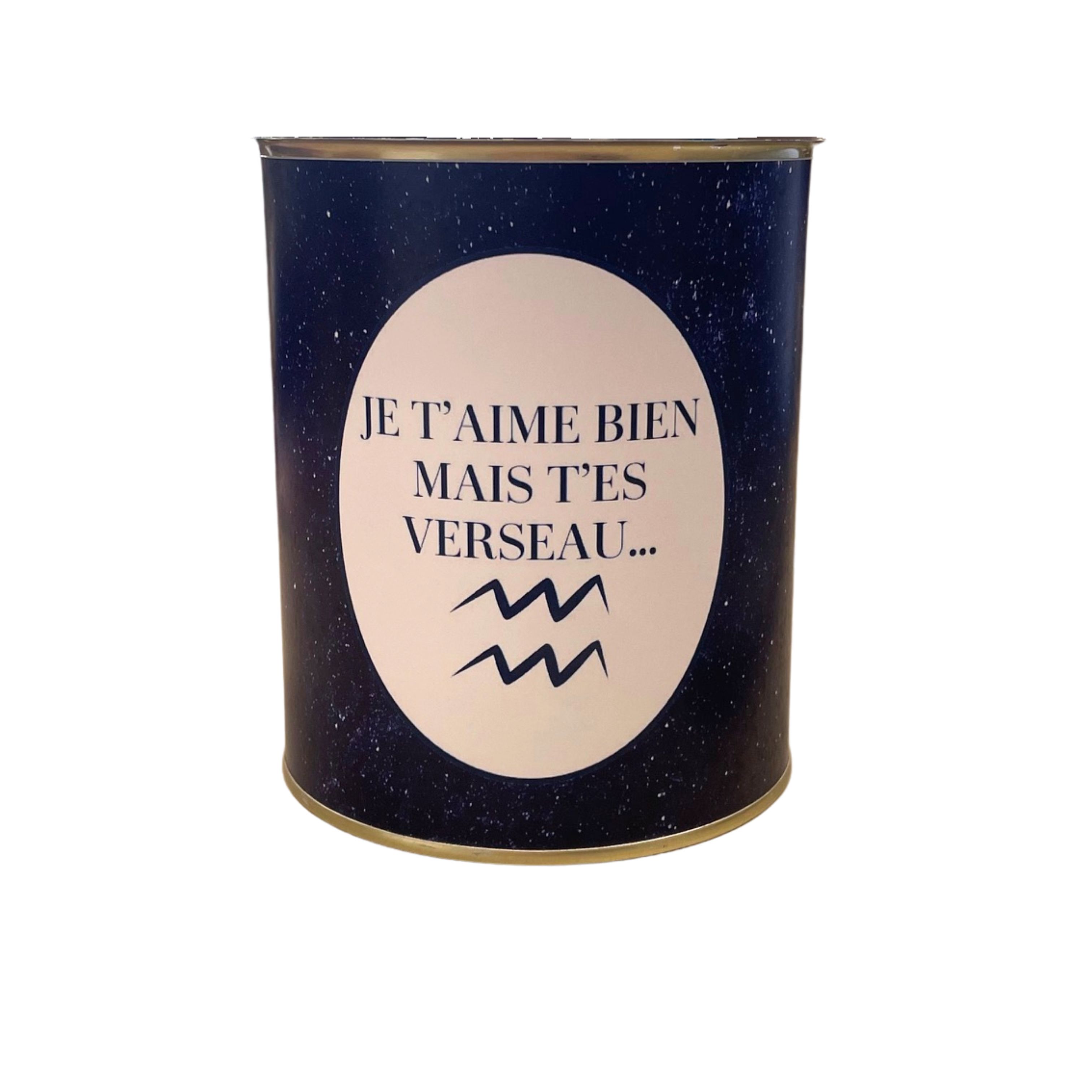 Cache-pots " Je t'aime bien mais t'es Verseau..."