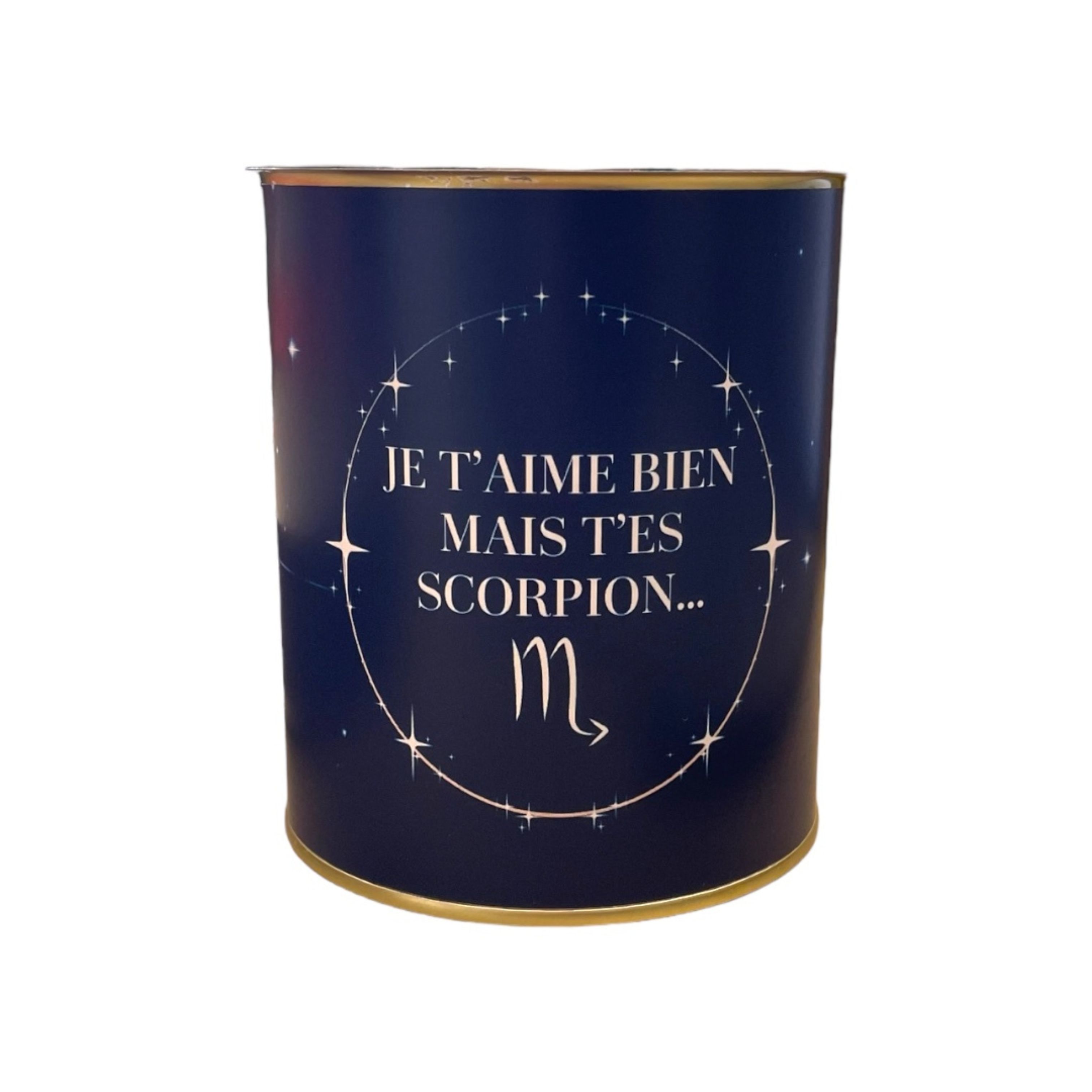 Cache-pots " Je t'aime bien mais t'es scorpion "