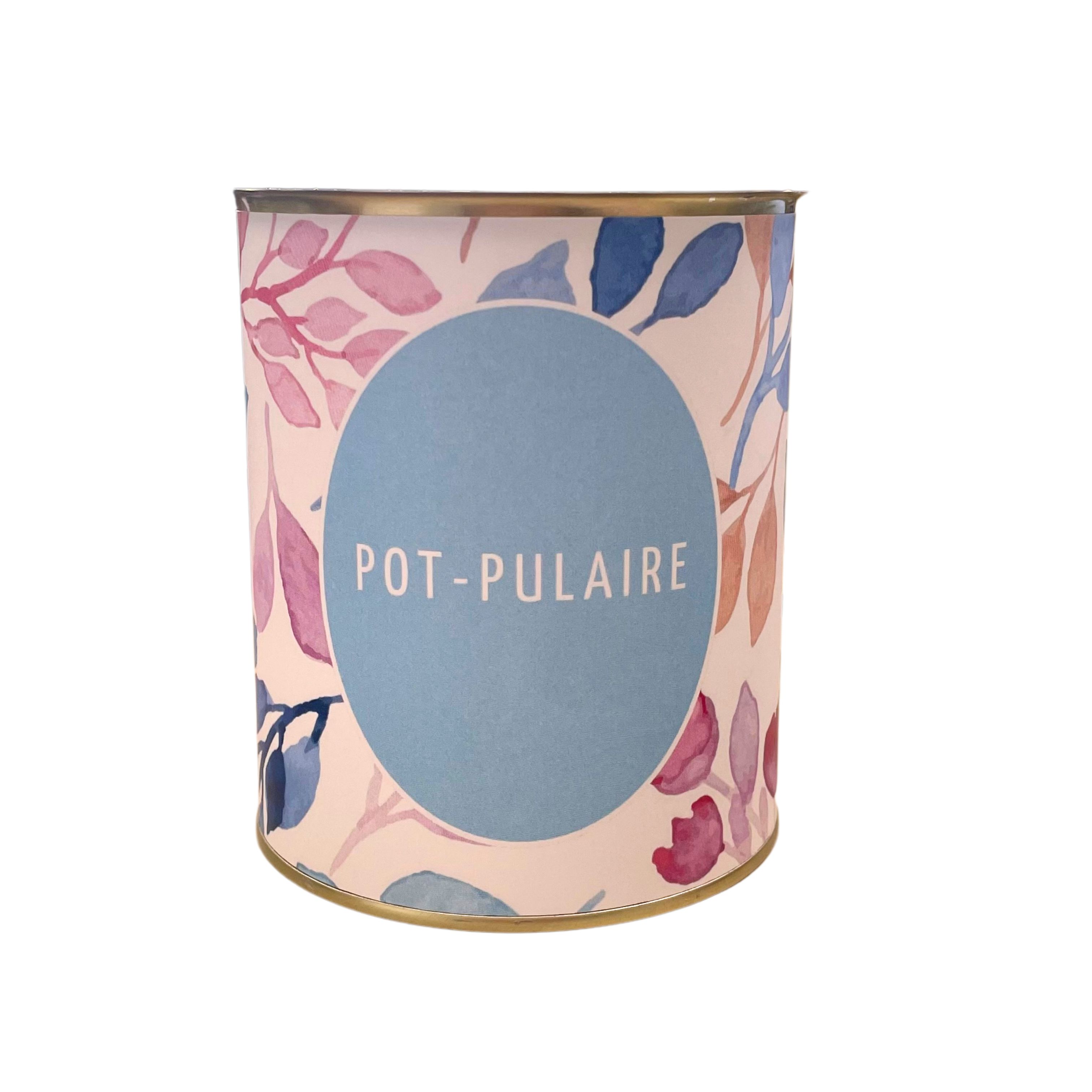 Cache-pots " Pot-pulaire "