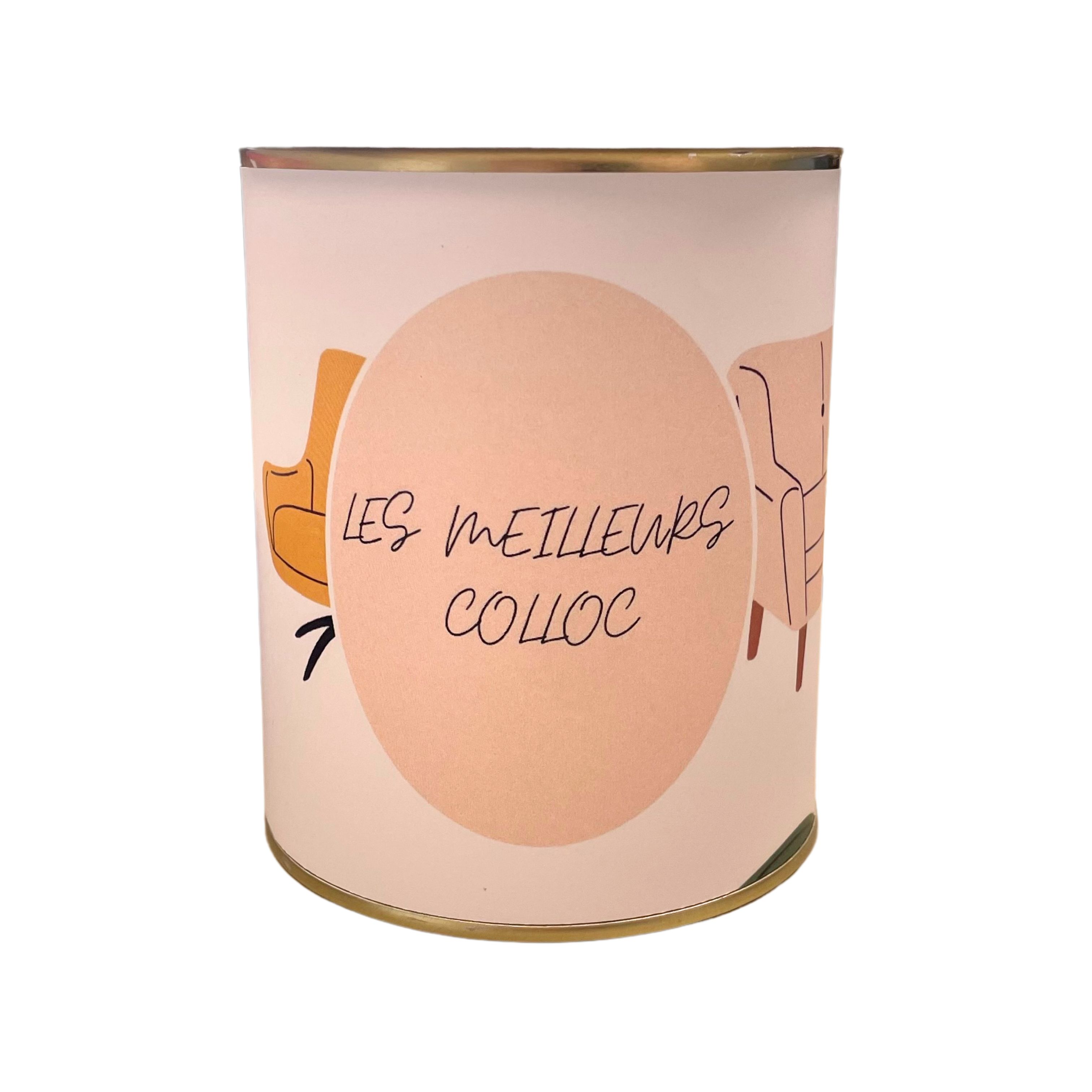 Cache-pots " Les meilleurs colloc "