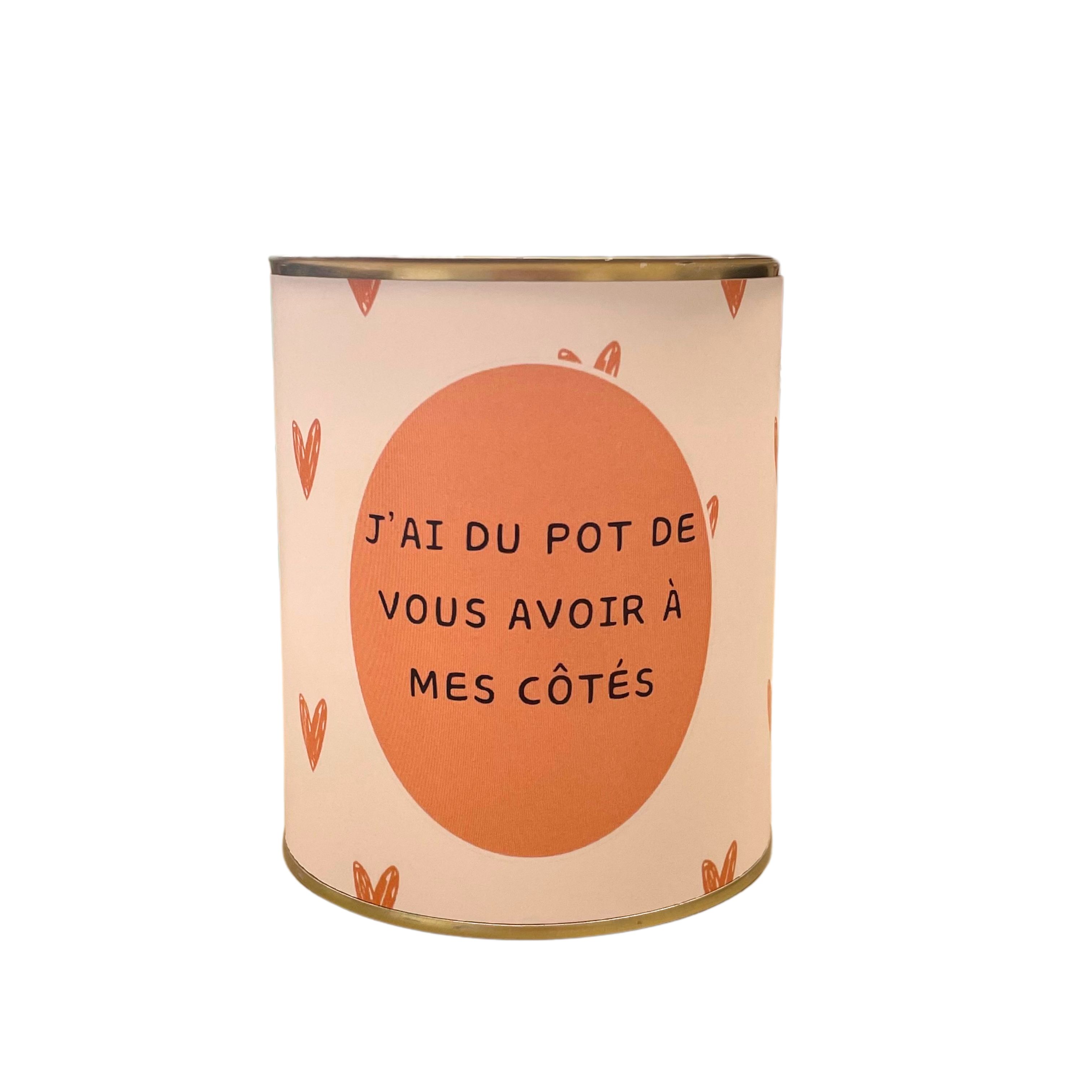 Cache-pots " J'ai du pot de vous avoir à mes côtés "